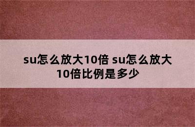 su怎么放大10倍 su怎么放大10倍比例是多少